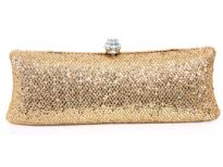 Metal Frame Evening Bag