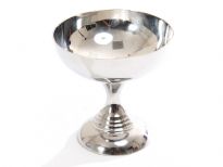 Stainless Steel Ice Cream Cup