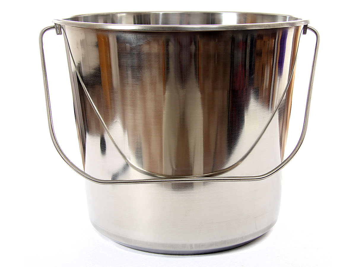 Stainless Steel Pail with Handle